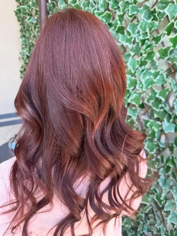 Clorazione in gel Botanica con…